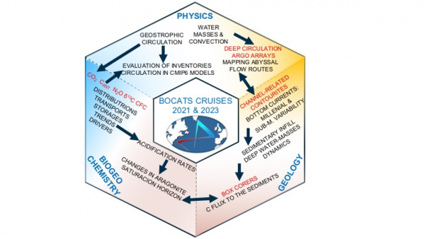 Disciplines involved and main objectives